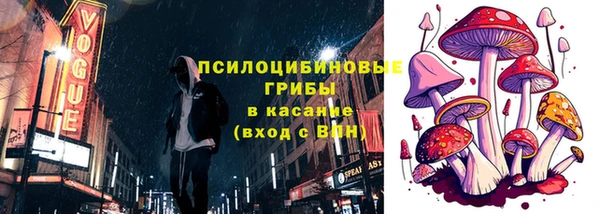 хмурый Алексин