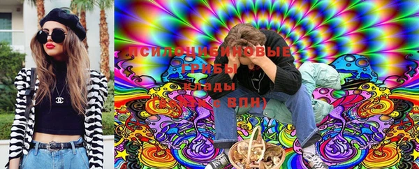круглые Алексеевка