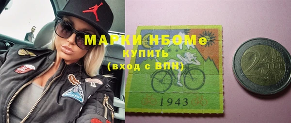 хмурый Алексин