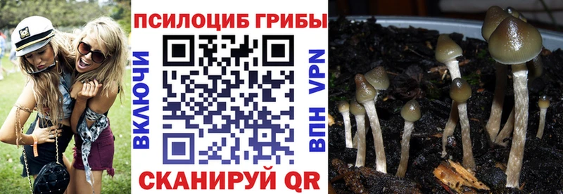 это клад  даркнет сайт  ОМГ ОМГ зеркало  Похвистнево  Галлюциногенные грибы Cubensis 